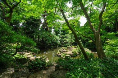 Yazın güneşli bir günde Tonogayato bahçesinde bir Japon bahçe göleti. Yüksek kalite fotoğraf. Kokubunji bölgesi Tokyo 07.04.2023