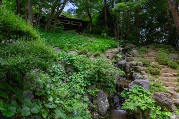 Een Japanse Tuin Waterplas Tonogayato Tuin Zomer Zonnige Dag Hoge — Stockfoto