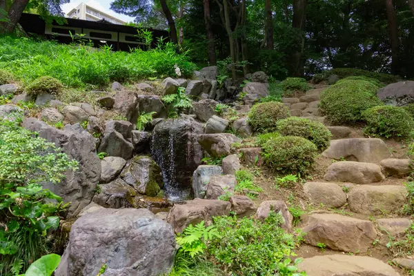 夏の晴れた日には トノゲヤトガーデンにある日本庭園 高品質の写真 国分寺地区 東京ジャパン 2023 — ストック写真