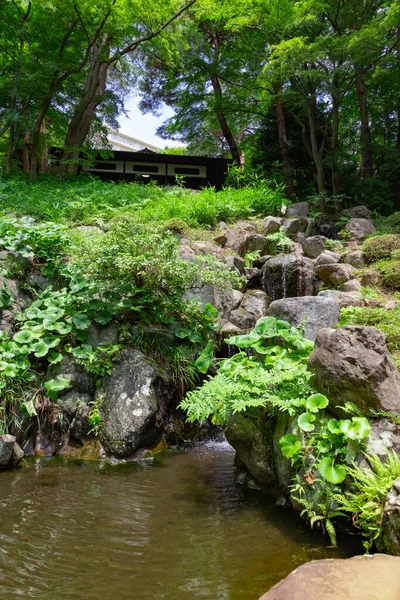 Japansk Trädgårdsdamm Vid Tonogayato Trädgård Sommaren Solig Dag Högkvalitativt Foto — Stockfoto
