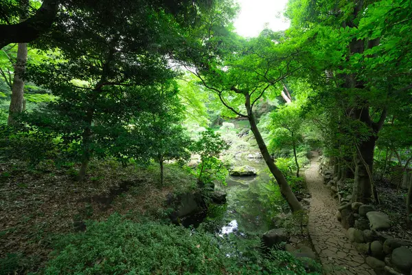 Japanese Garden Pond Tonogayato Garden Summer Sunny Day High Quality — Stock Photo, Image