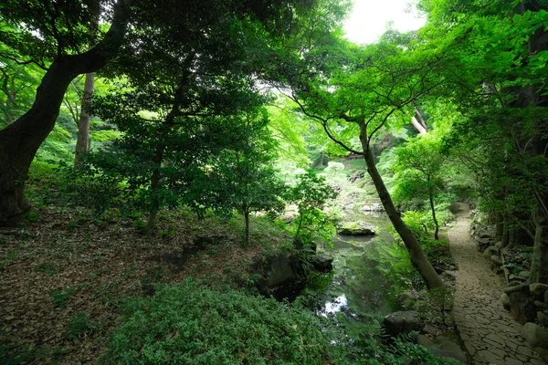 Yazın güneşli bir günde Tonogayato bahçesinde bir Japon bahçe göleti. Yüksek kalite fotoğraf. Kokubunji bölgesi Tokyo 07.04.2023