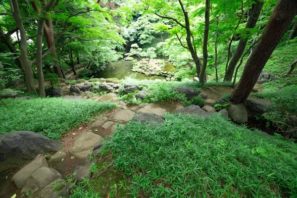 Étang Jardin Japonais Jardin Tonogayato Par Une Journée Ensoleillée Été — Photo