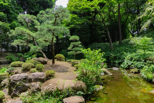 Estanque Jardín Japonés Jardín Tonogayato Verano Día Soleado Foto Alta — Foto de Stock