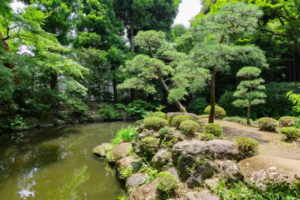 夏の晴れた日には トノゲヤトガーデンにある日本庭園 高品質の写真 国分寺地区 東京ジャパン 2023 — ストック写真