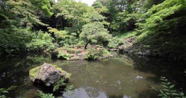 Kokubunji Tokyo 'daki Tonogayato bahçesinde bir Japon bahçe göleti. Yüksek kalite 4K görüntü. Kokubunji bölgesi Tokyo 07.04.2023