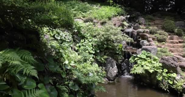 Ein Japanischer Gartenteich Tonogayato Garten Kokubunji Tokyo Hochwertiges Filmmaterial Kokubunji — Stockvideo