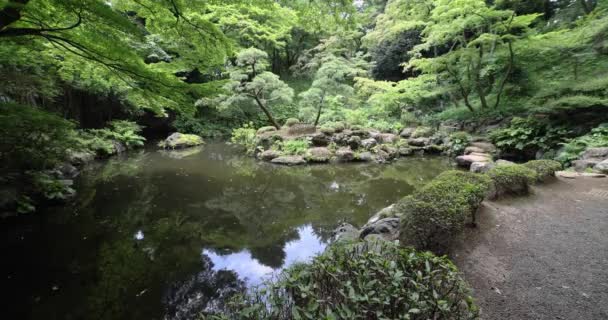Uma Lagoa Jardim Japonesa Jardim Tonogayato Kokubunji Tokyo Imagens Alta — Vídeo de Stock