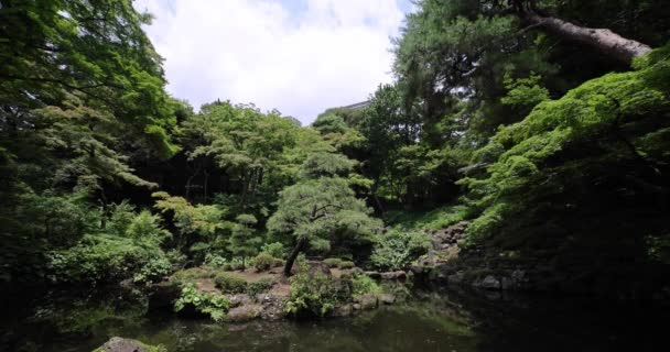 Estanque Jardín Japonés Jardín Tonogayato Kokubunji Tokio Imágenes Alta Calidad — Vídeo de stock