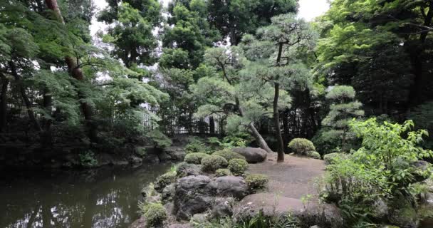Uma Lagoa Jardim Japonesa Jardim Tonogayato Kokubunji Tokyo Imagens Alta — Vídeo de Stock