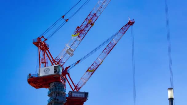 Timelapse Grue Construction Tokyo Images Haute Qualité Koto District Ariake — Video