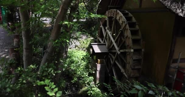 Historické Dřevěné Kolo Vodní Hladině Tokiu Kvalitní Záběry Chofu Okres — Stock video