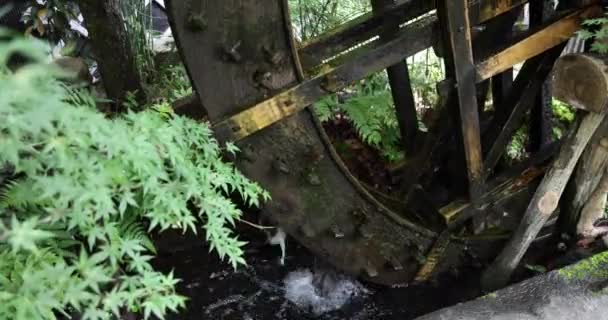 Historic Wooden Wheel Water Surface Tokyo High Quality Footage Chofu — Stock Video