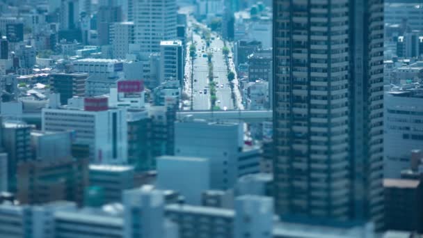 Хронология Миниатюрного Городского Пейзажа Рядом Шоссе Осаке Высоким Углом Обзора — стоковое видео
