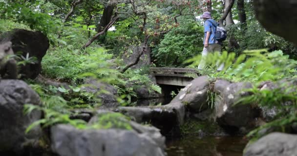 绿林边的一条森林小溪 高质量的4K镜头 日本东京Kokubunji区07 2023这里被称为Tonogayato公园 那是东京的一个自然森林 — 图库视频影像