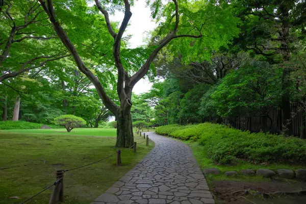 Jardim Japonês Parque Verde Público Tiro Largo Foto Alta Qualidade — Fotografia de Stock