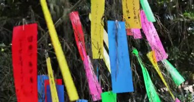 Bambu ağacının geleneksel bir fal kağıdı. Yüksek kalite 4K görüntü. Kokubunji Bölgesi Tokyo 07.04.2023 Burası Tonogayato Parkı. Tokyo 'da bir doğa ormanı.. 