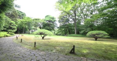 Halkın yeşil parkında bir Japon bahçesi. Yüksek kalite 4K görüntü. Kokubunji Bölgesi Tokyo 07.04.2023 Burası Tonogayato Parkı. Tokyo 'da bir doğa ormanı.. 