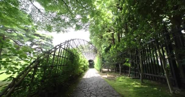 Yazın Bahçede Yeşil Bir Bitki Tüneli Yüksek Kalite Görüntü Kokubunji — Stok video
