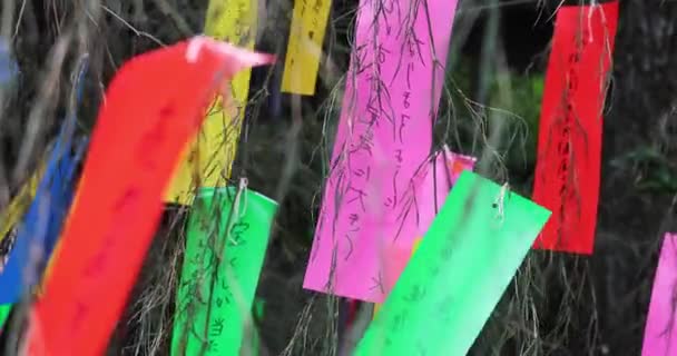 Традиционная Предсказательная Бумага Бамбуковом Дереве Высококачественные Кадры Kokubunji Района Токио — стоковое видео