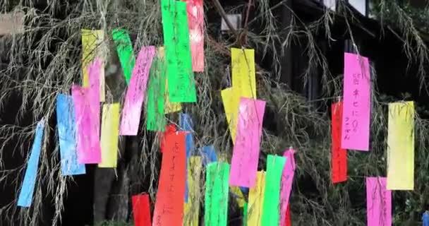 Een Traditioneel Gelukspapier Bamboe Boom Hoge Kwaliteit Beeldmateriaal Kokubunji District — Stockvideo