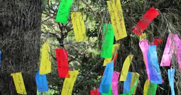 竹の木にある伝統的なフォーチュン紙 高品質の4K映像を公開しました 国分寺地区 2023 ここはトノゲヤト公園と呼ばれています 東京の自然林です — ストック動画