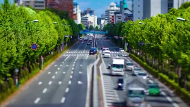 Timelapse Atasco Tráfico Calle Del Centro Takashimadaira Tokio Imágenes Alta — Vídeos de Stock