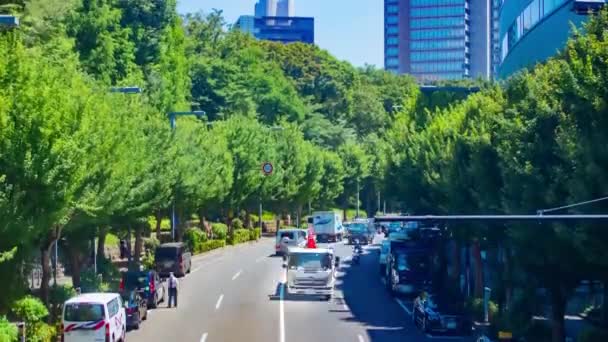 Ένα Timelapse Από Μποτιλιάρισμα Στο Αστικό Δρόμο Στο Τόκιο Υψηλής — Αρχείο Βίντεο