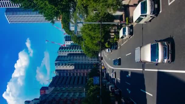 東京の都市街道の渋滞のタイムラプス 高品質の4K映像を公開しました 東京都新宿地区 東京都内にある街並み — ストック動画