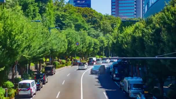 Tokyo Daki Şehir Caddesindeki Trafik Sıkışıklığının Zamanı Yüksek Kalite Görüntü — Stok video