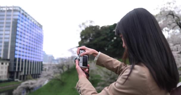 Portrait Japanese Woman Shooting Mirrorless Camera Cherry Blossom High Quality — Stock Video