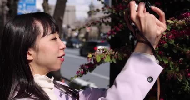 Portret Japonki Strzelającej Przez Bezlusterkowy Aparat Wiśniowym Kwiatem Wysokiej Jakości — Wideo stockowe