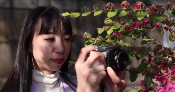 Ritratto Una Donna Giapponese Scattata Una Macchina Fotografica Mirrorless Dietro — Video Stock