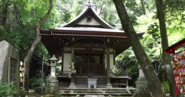 Tokyo 'nun eski moda caddesinde geleneksel bir Japon tapınağı JINDAIJI. Yüksek kalite 4K görüntü. Chofu bölgesi Jindaijimotomachi Tokyo 07.11.2023 Bu tapınağın adı Jindaiji.