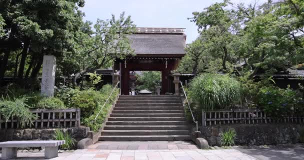 Templo Tradicional Japonês Jindaiji Rua Antiquada Tóquio Imagens Alta Qualidade — Vídeo de Stock