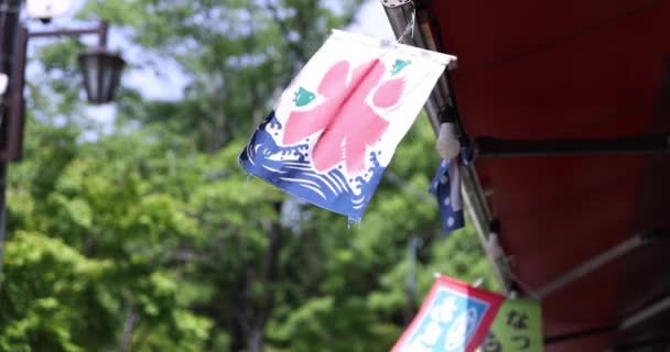 Ein Japanischer Ladenvorhang Hinter Dem Grünen Baum Sommer Tokio Hochwertiges — Stockvideo