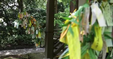 Yazın bambu yaprakları üzerinde kağıt bir servet. Yüksek kalite 4K görüntü. Chofu bölgesi Tokyo 07.07.2023 Japonya 'da buna Tanzaku denir..