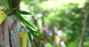 Yazın bambu yaprakları üzerinde kağıt bir servet. Yüksek kalite 4K görüntü. Chofu bölgesi Tokyo 07.07.2023 Japonya 'da buna Tanzaku denir..