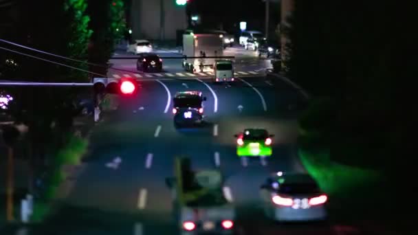 Nocna Przerwa Korków Skrzyżowaniu Miasta Tokio Wysokiej Jakości Materiał Itabashi — Wideo stockowe