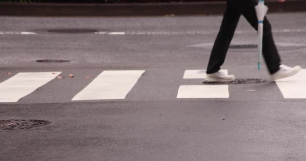 Eine Zeitlupe Laufender Menschen Auf Der Straße Nishishinjuku Tokio Hochwertiges — Stockvideo