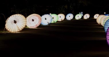 Kış gecelerinde Tachikawa Parkı 'nda elde taşınan aydınlatılmış bir şemsiye. Yüksek kalite 4K görüntü. Tachikawa bölgesi Tokyo 11.13.2023 bir Japon şemsiyesidir..