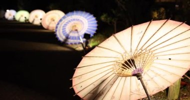 Kış gecelerinde Tachikawa Parkı 'nda elde taşınan aydınlatılmış bir şemsiye. Yüksek kalite 4K görüntü. Tachikawa bölgesi Tokyo 11.13.2023 bir Japon şemsiyesidir..