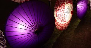 Kış gecelerinde Tachikawa Parkı 'nda elde taşınan aydınlatılmış bir şemsiye. Yüksek kalite 4K görüntü. Tachikawa bölgesi Tokyo 11.13.2023 bir Japon şemsiyesidir..