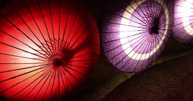 Kış gecelerinde Tachikawa Parkı 'nda elde taşınan aydınlatılmış bir şemsiye. Yüksek kalite 4K görüntü. Tachikawa bölgesi Tokyo 11.13.2023 bir Japon şemsiyesidir..