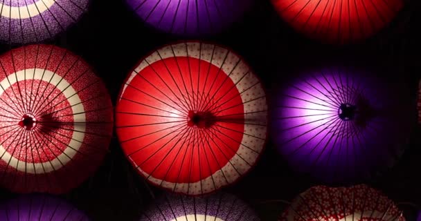 Подсвеченный Зонтик Парке Татикава Зимние Ночи Переносной Высококачественные Кадры Tachikawa — стоковое видео