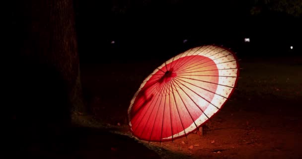 Een Verlichte Paraplu Tachikawa Park Tijdens Winter Nachten Handheld Hoge — Stockvideo