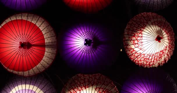 Ombrello Illuminato Nel Parco Tachikawa Durante Notti Invernali Filmati Alta — Video Stock
