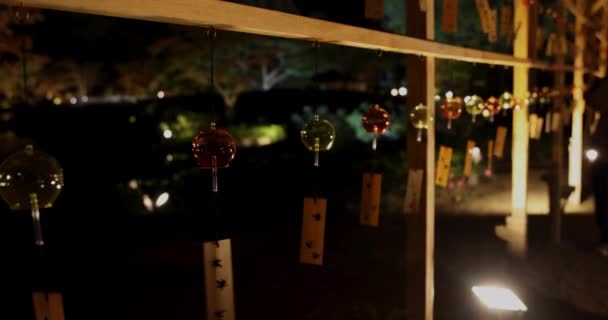 Підсвічений Вітровий Дзвоник Японському Саду Зимові Ночі Портативний Високоякісні Кадри — стокове відео