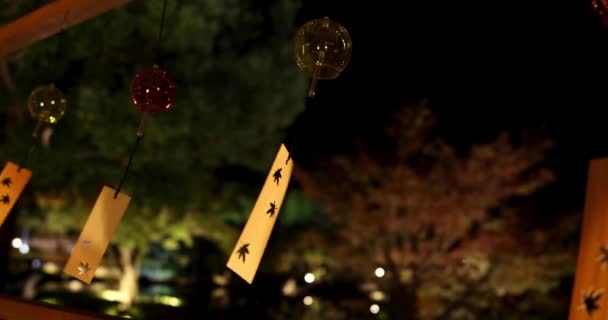 Sino Vento Iluminado Jardim Japonês Durante Noites Inverno Handheld Imagens — Vídeo de Stock