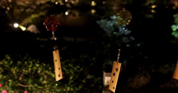 Una Campana Viento Iluminada Jardín Japonés Durante Las Noches Invierno — Vídeos de Stock